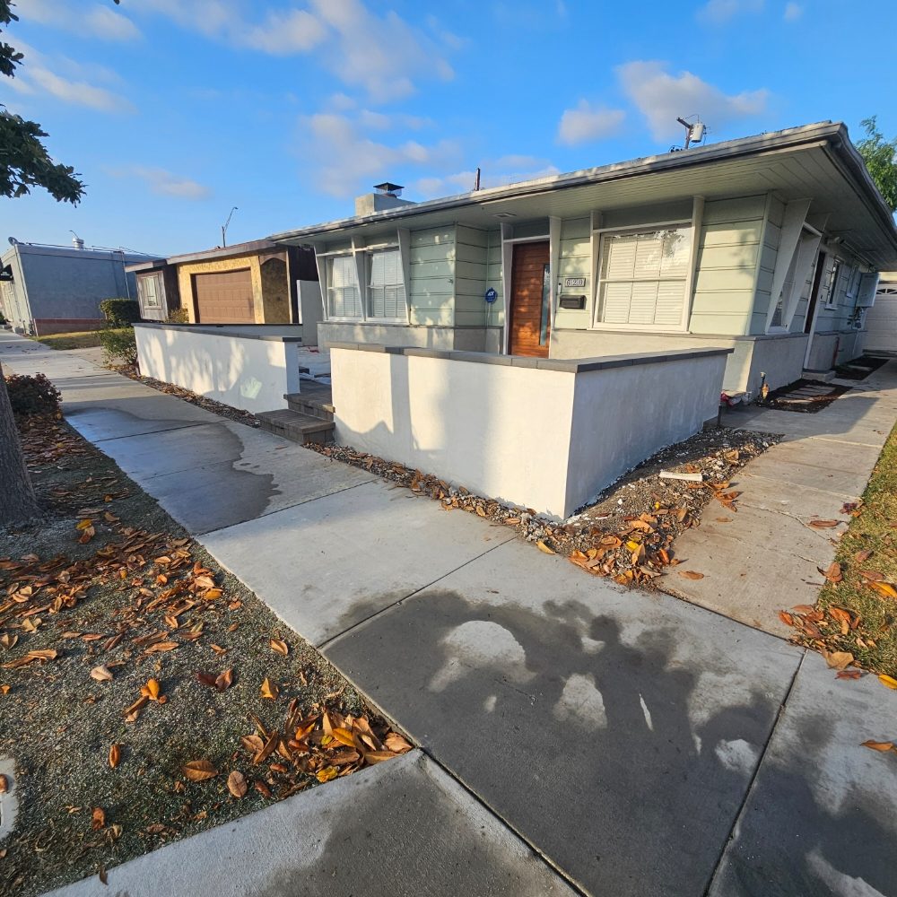 Cat Face stucco finish